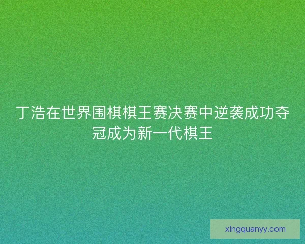 丁浩在世界围棋棋王赛决赛中逆袭成功夺冠成为新一代棋王