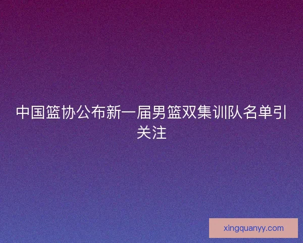 中国篮协公布新一届男篮双集训队名单引关注