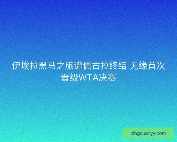 伊埃拉黑马之旅遭佩古拉终结 无缘首次晋级WTA决赛